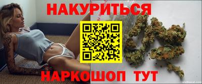 крисы Будённовск