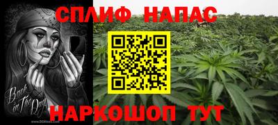 крисы Будённовск