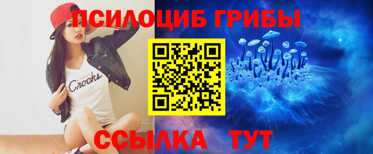 Алапаевск  Псилоцибиновые грибы прущие грибы  Вход с VPN  Псилоцибиновые грибы Psilocybe 